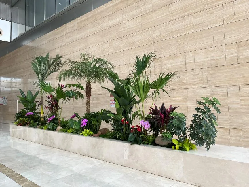 宁波余姚植物租摆方案