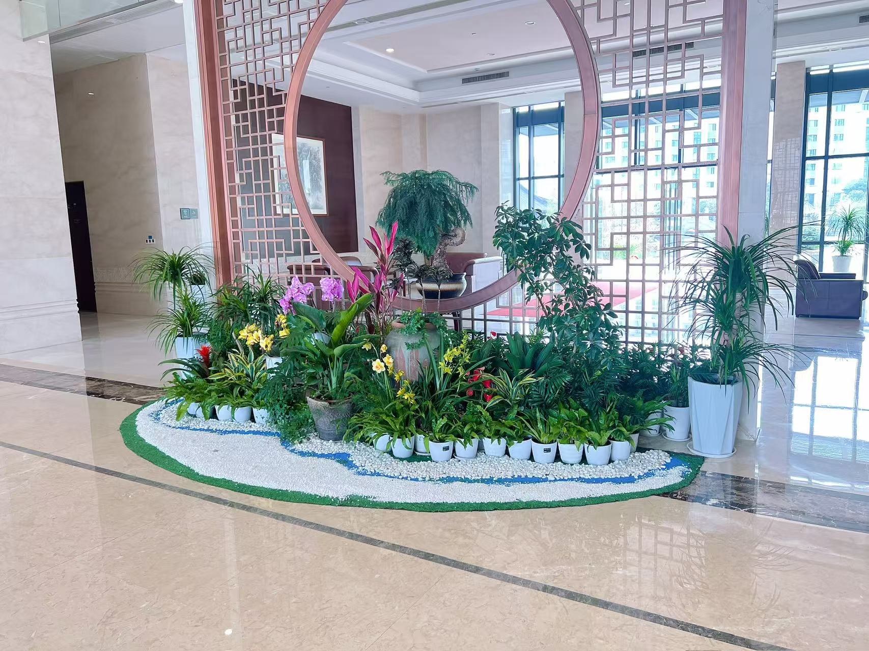 宁波前湾盆景租赁哪家好